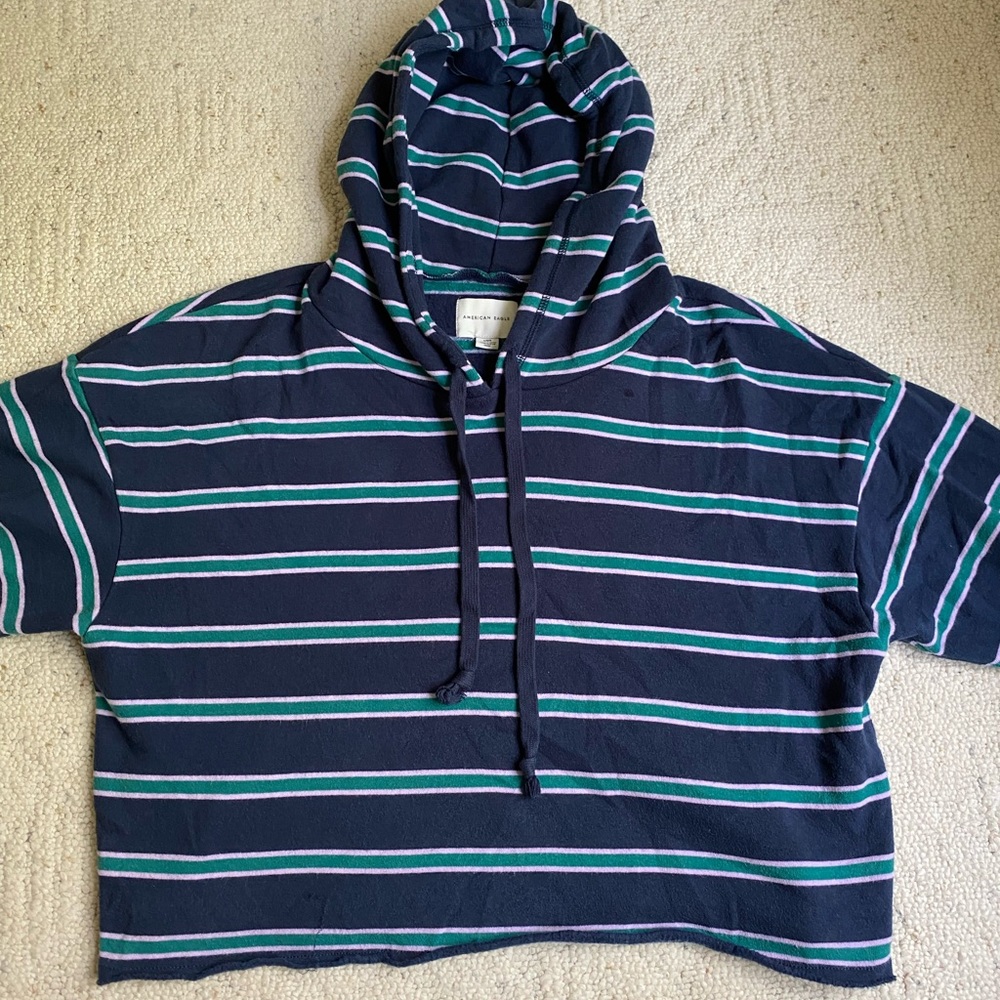 American Eagle Striped Hoodie